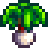 كراث