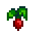 محصول الفجل Radish