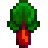 محصول الراوند Rhubarb