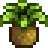 Foraging